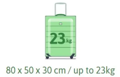 Bagaglio registrato: 80 x 50 x 30 cm, fino a 23 kg