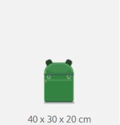 Bagaj mic de mână inclus în fiecare bilet: 40 x 30 x 20 cm